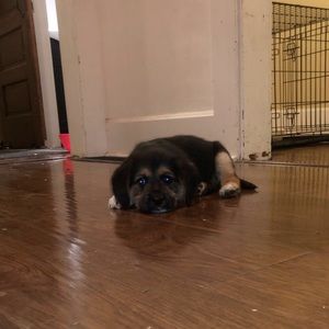 Meet your Posher, Leah